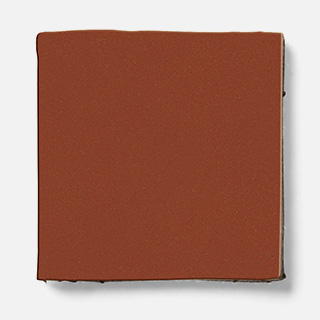 fuji Leather