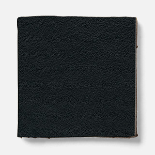 fuji Leather