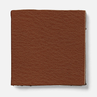 fuji Leather